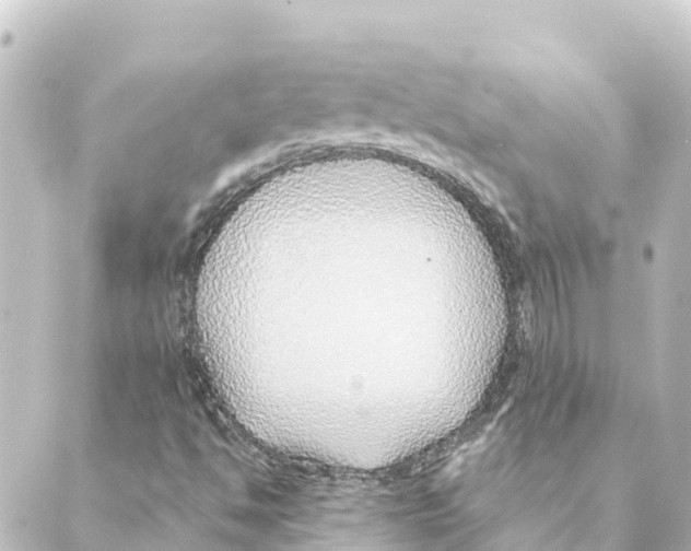 X0000088621494200706221442