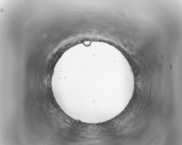 X0000088621495200706221442