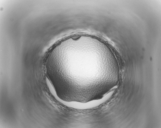 X0000088621496200706221442