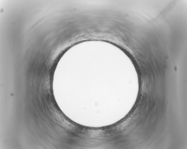 X0000088621498200706221442