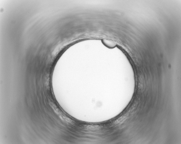 X0000088621499200706221442