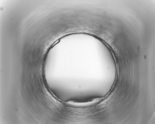 X0000088621500200706221442