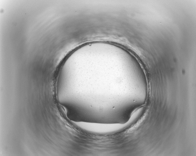 X0000088621501200706221442