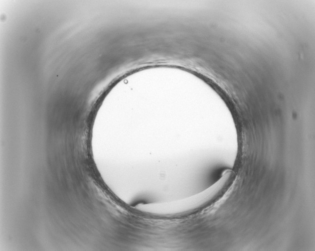 X0000088621502200706221442