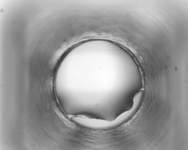 X0000088621503200706221442