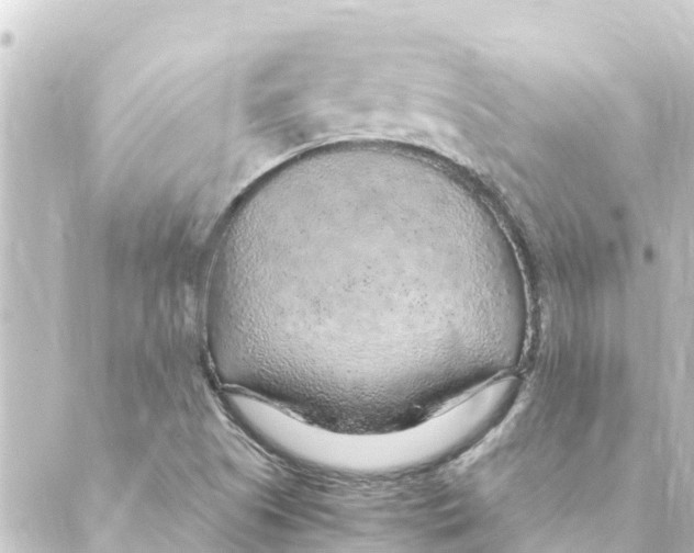 X0000088621505200706221442