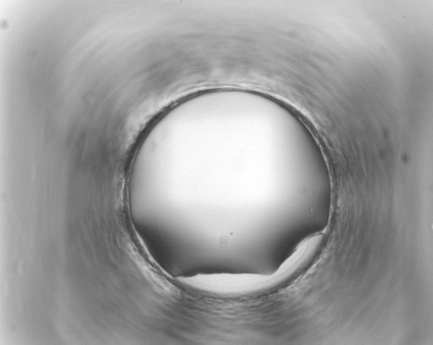 X0000088621507200706221442