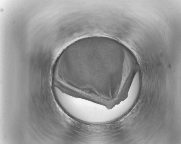 X0000088621508200706221442