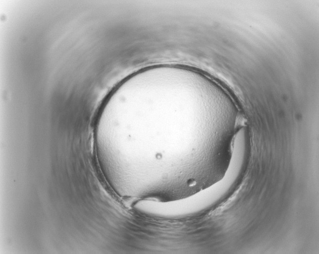 X0000088621509200706221442