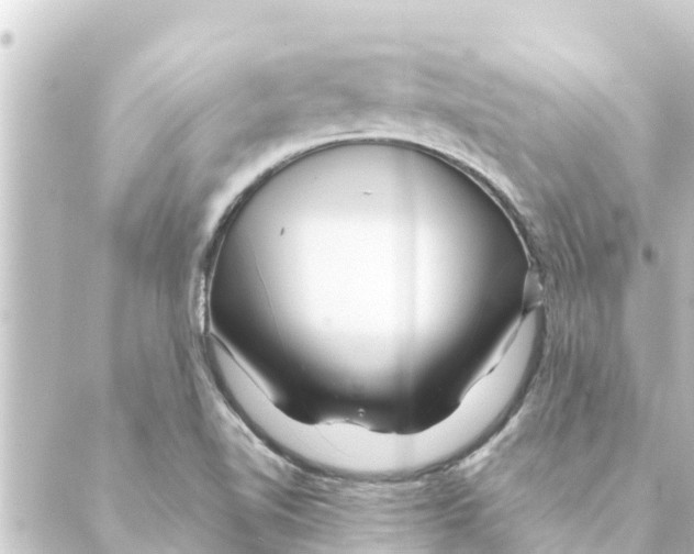 X0000088621510200706221442