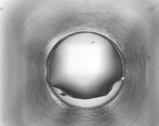 X0000088621511200706221442