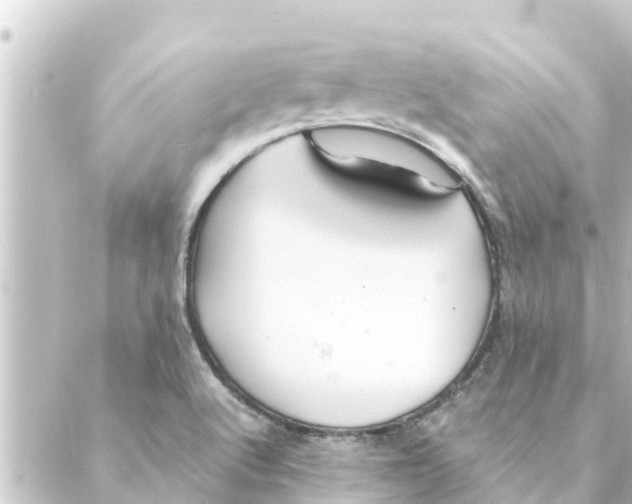 X0000088621512200706221442