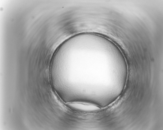 X0000088621513200706221442