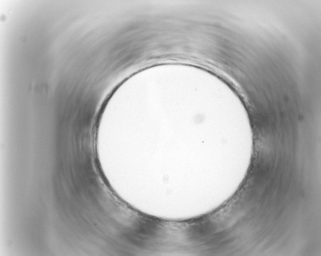 X0000088621514200706221442