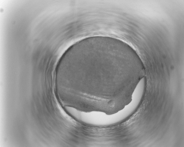 X0000088621515200706221442