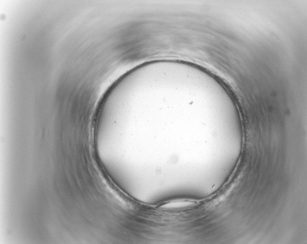 X0000088621517200706221443