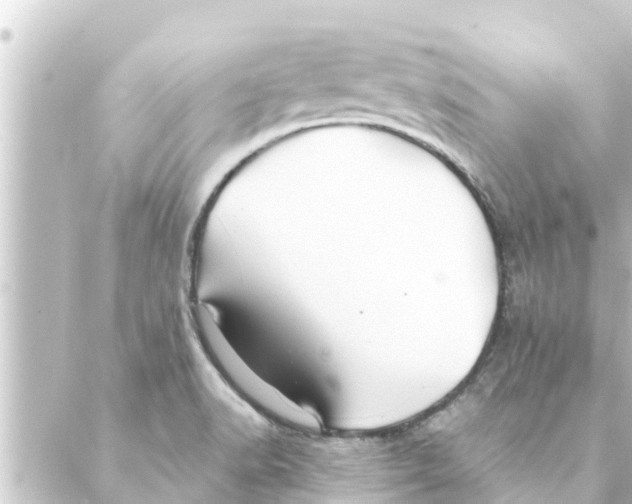 X0000088621518200706221443