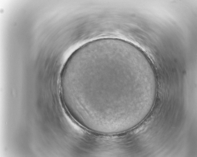 X0000088621519200706221443