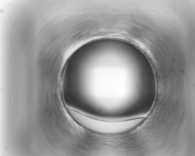 X0000088621520200706221443