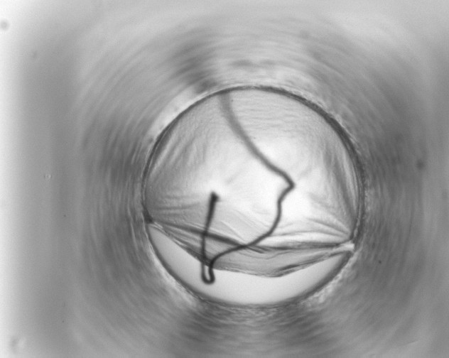 X0000088621521200706221443