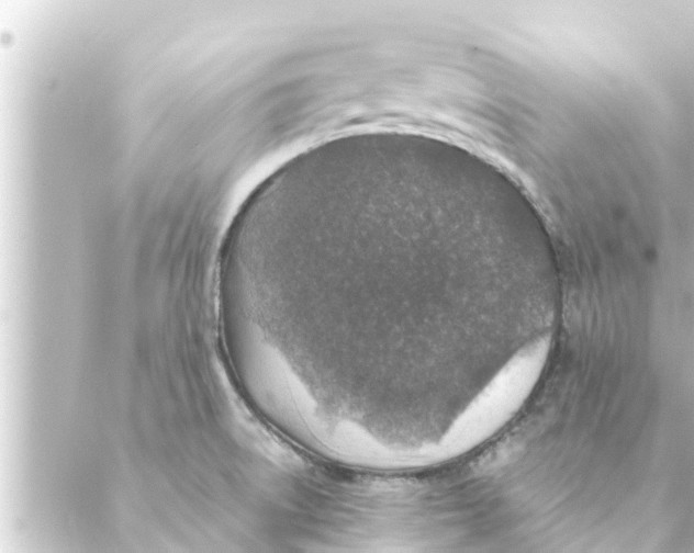 X0000088621522200706221443