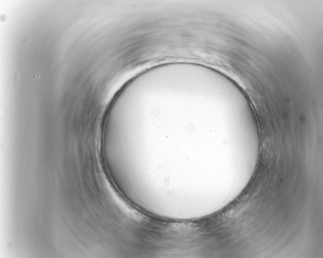 X0000088621523200706221443