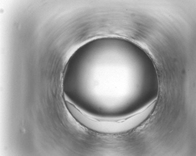 X0000088621524200706221443