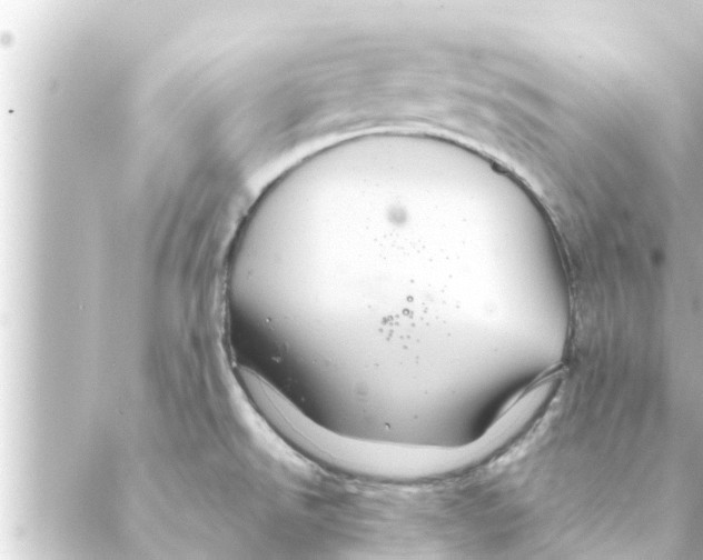 X0000088621526200706221443