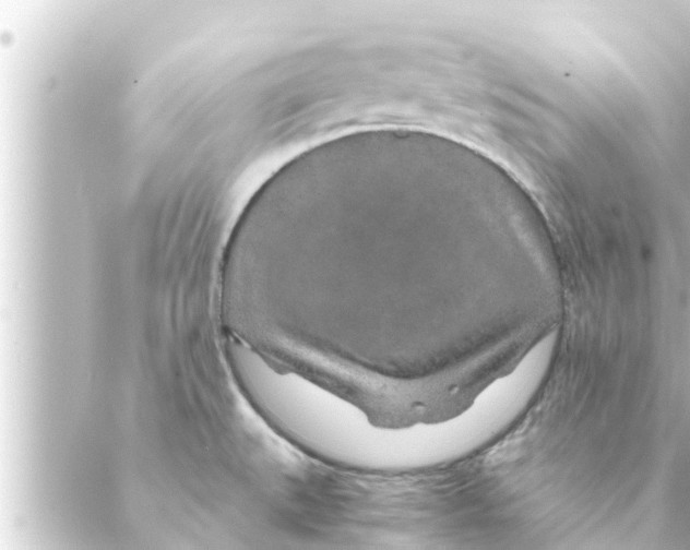 X0000088621527200706221443