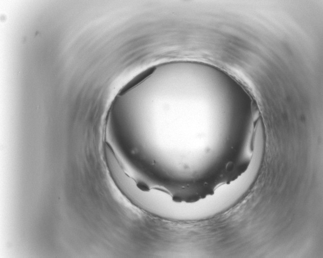 X0000088621528200706221443