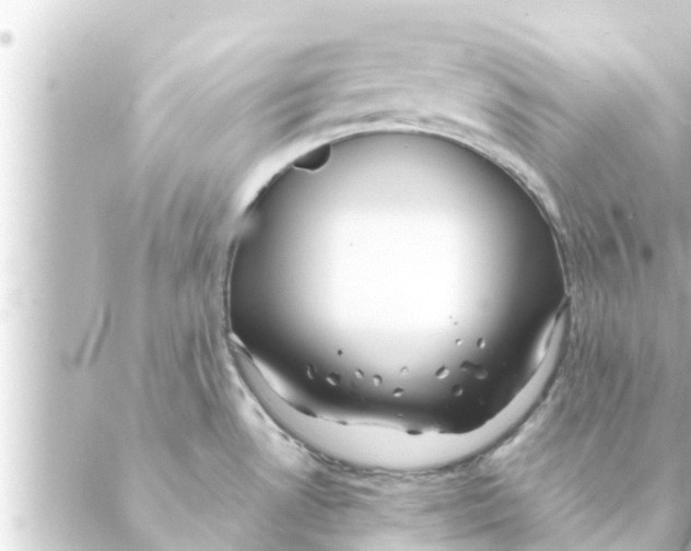 X0000088621530200706221443