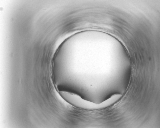 X0000088621531200706221443