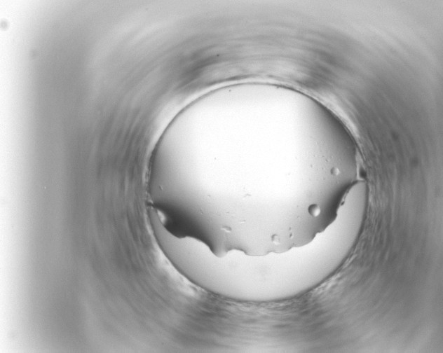 X0000088621532200706221443