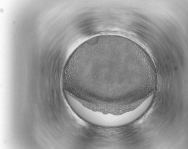 X0000088621533200706221443