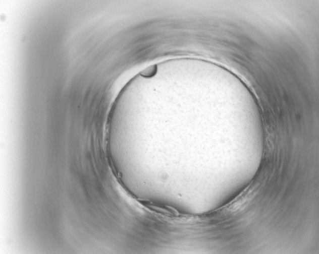 X0000088621535200706221443