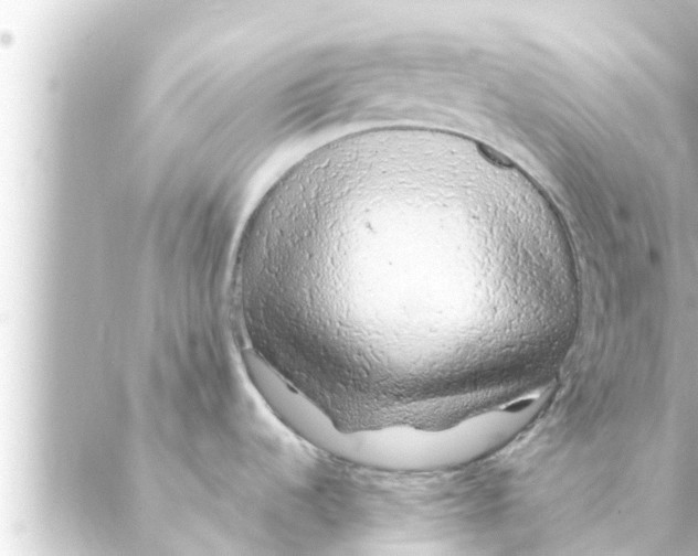 X0000088621536200706221443