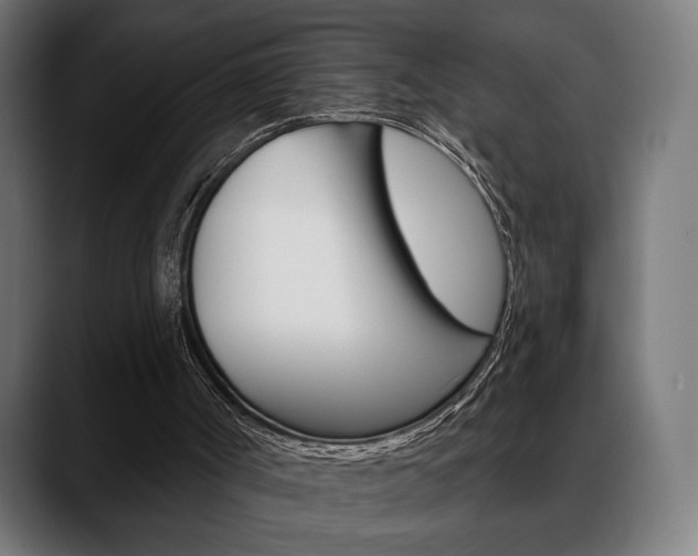 X0000088630002200705250907