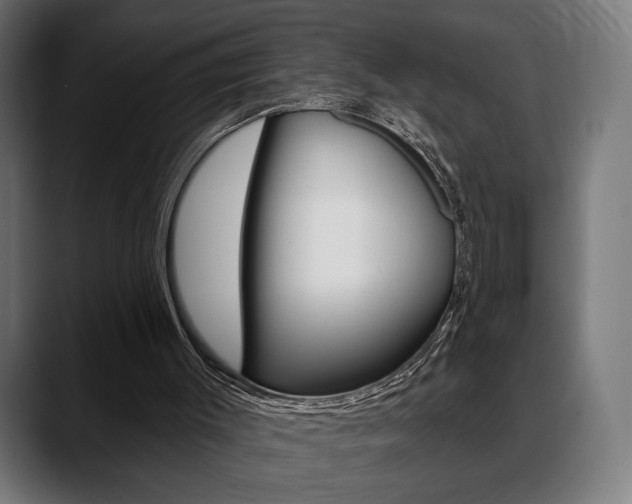 X0000088630003200705250907