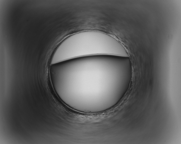 X0000088630005200705250907