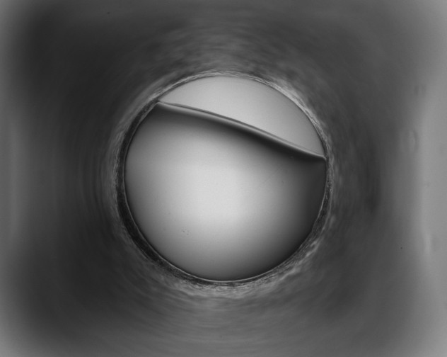 X0000088630007200705250907