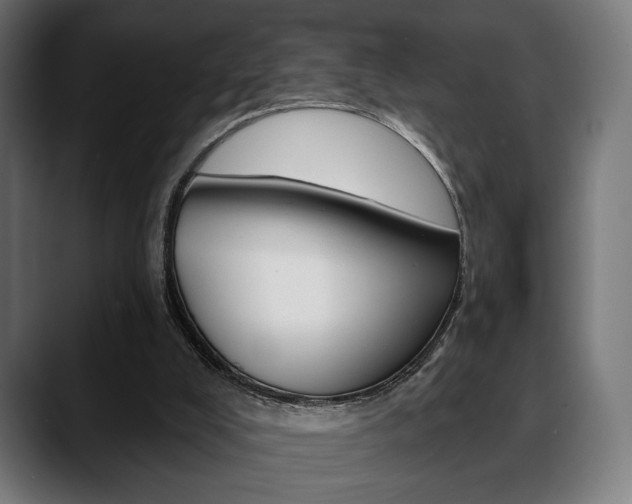 X0000088630008200705250907