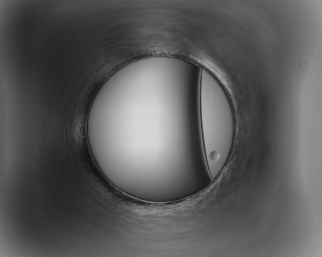 X0000088630009200705250907