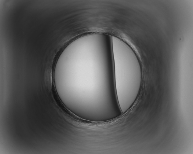 X0000088630011200705250907