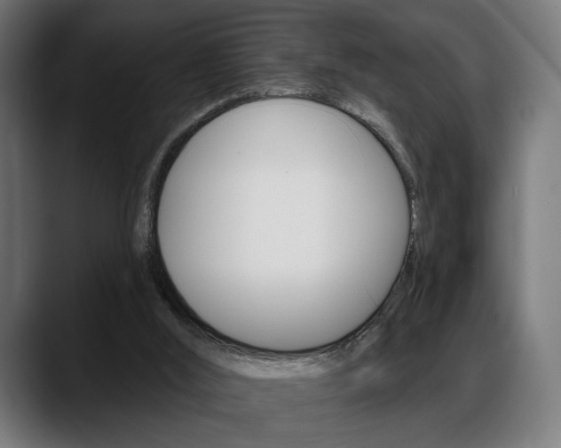 X0000088630012200705250907
