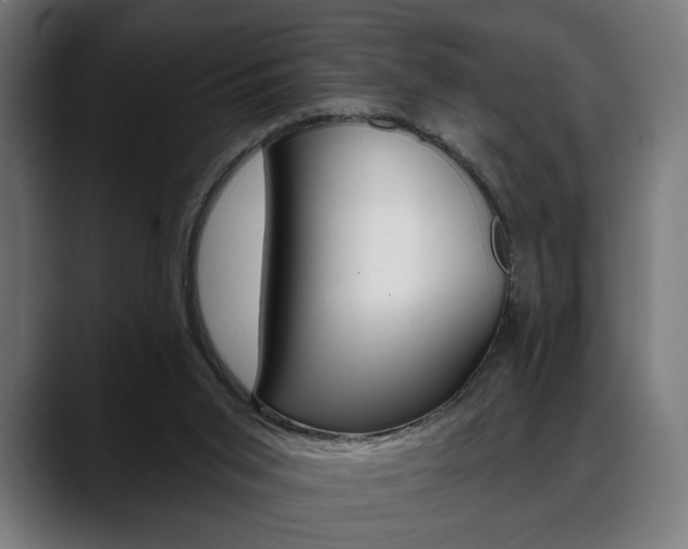 X0000088630015200705250907
