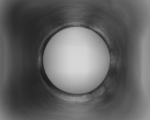 X0000088630016200705250907