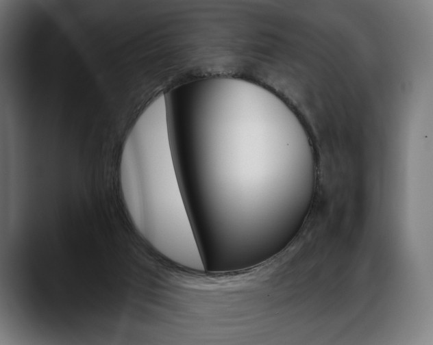 X0000088630017200705250907