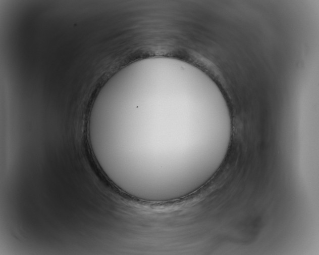 X0000088630018200705250907