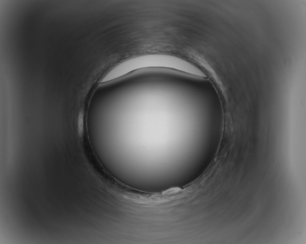 X0000088630019200705250907