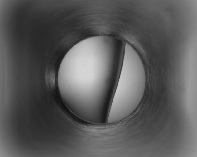 X0000088630021200705250907